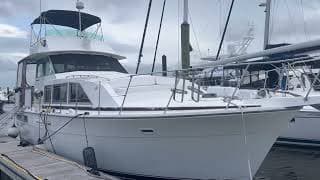 Jeanine, Bertram 42 MY