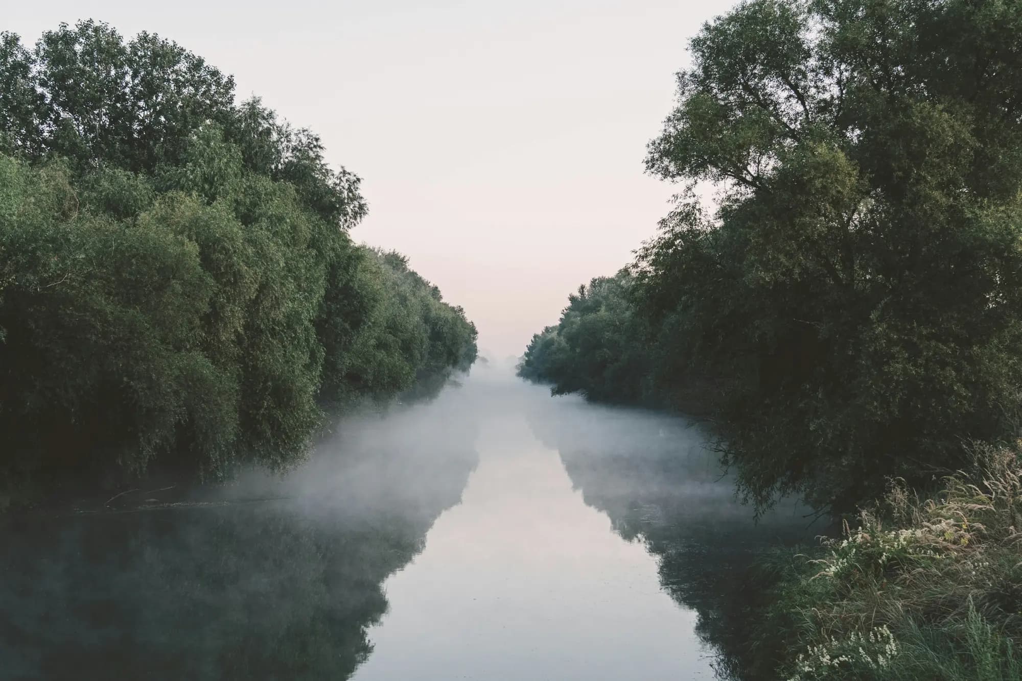 A narrow river between willows, mist over still water at dawn